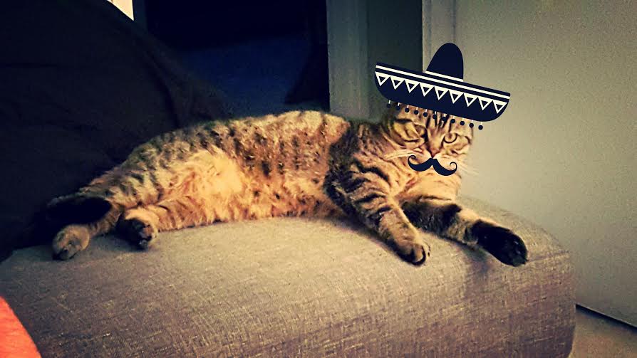 Miss Ebert Ebert Amy A Profile Padlet