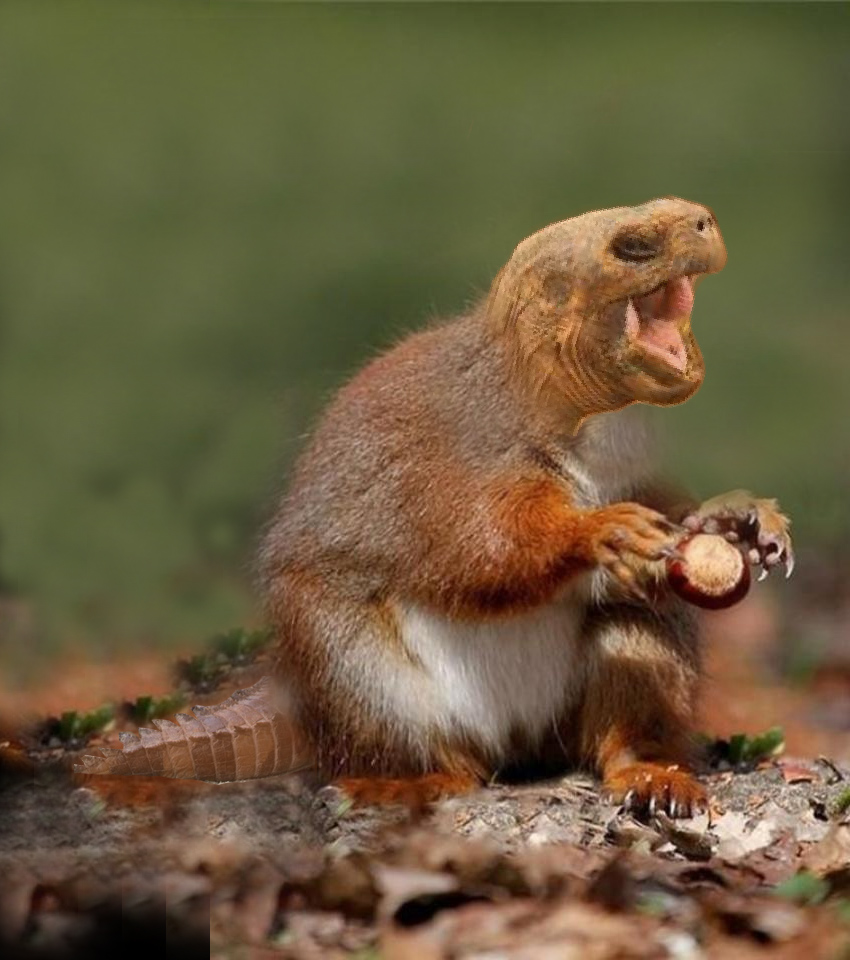 Картинки смешные приду