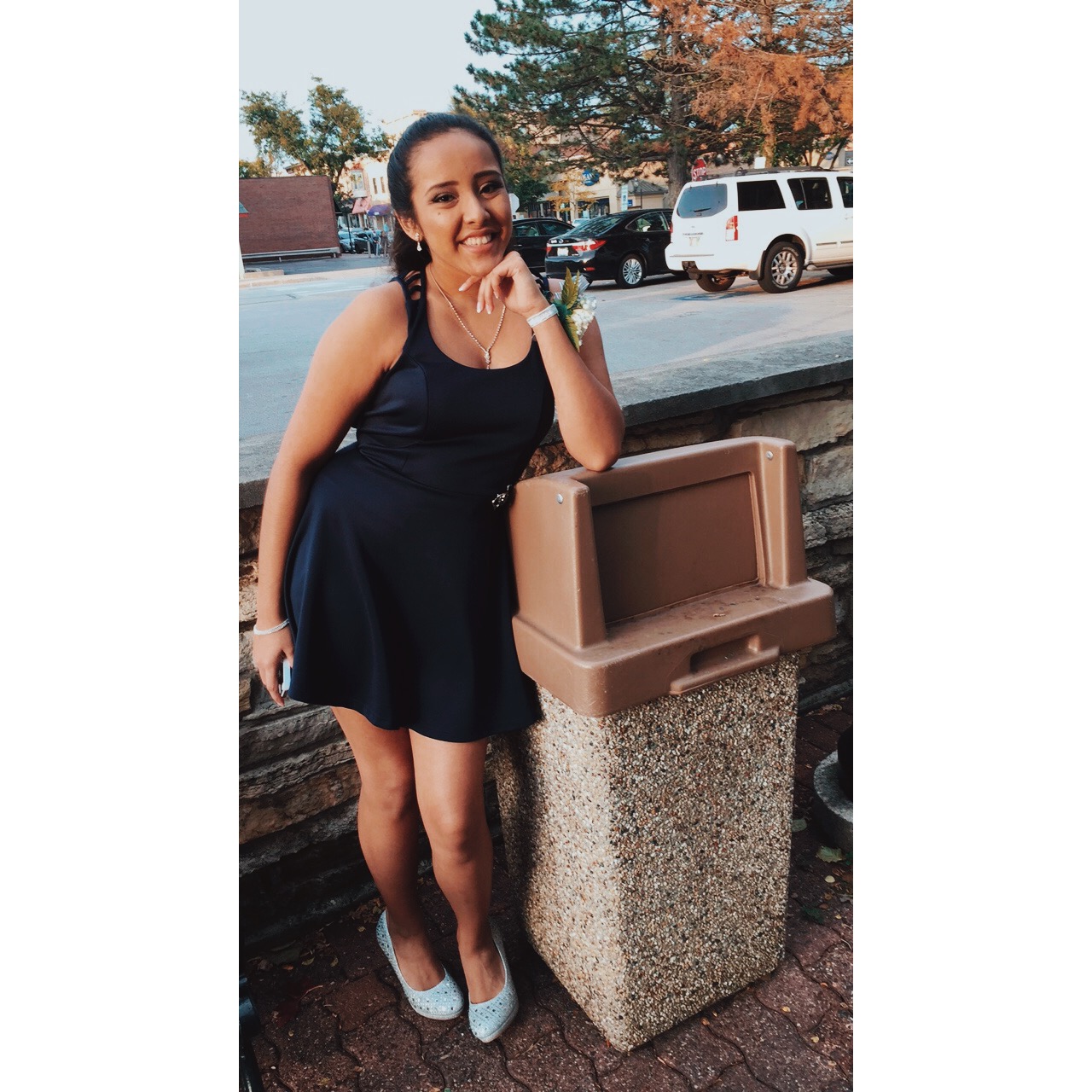 Valeria (valeriaalv0582) profile | Padlet