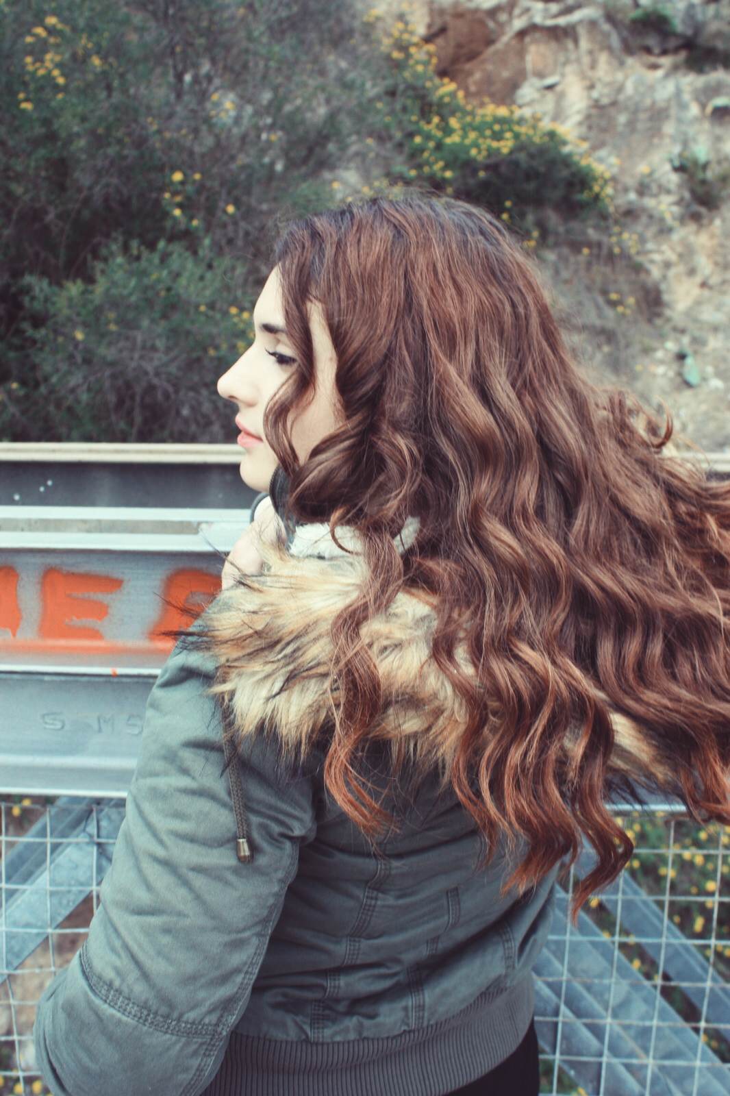 paula (paulacl) profile | Padlet