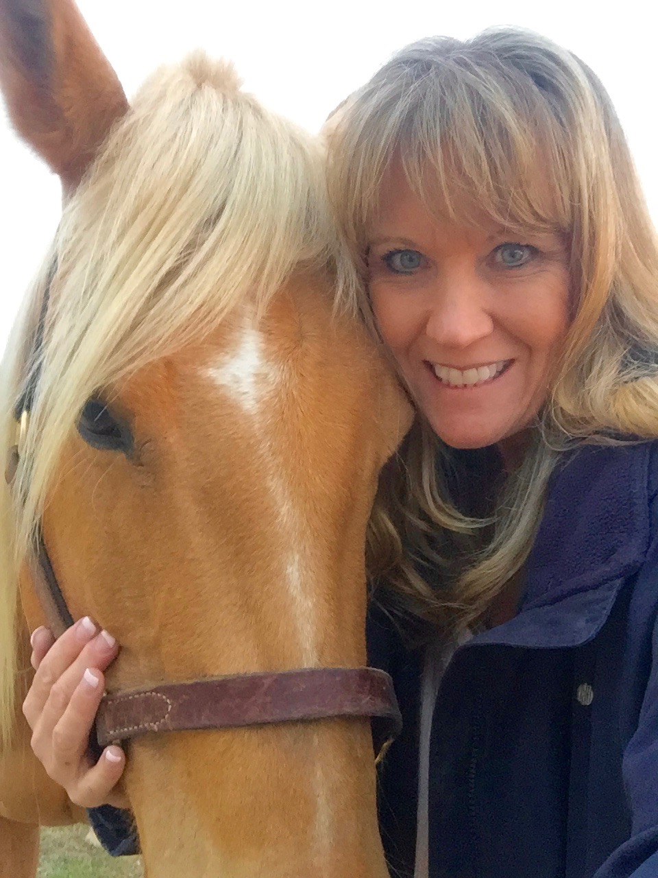 LAURA DAVIS (laurad5) profile | Padlet
