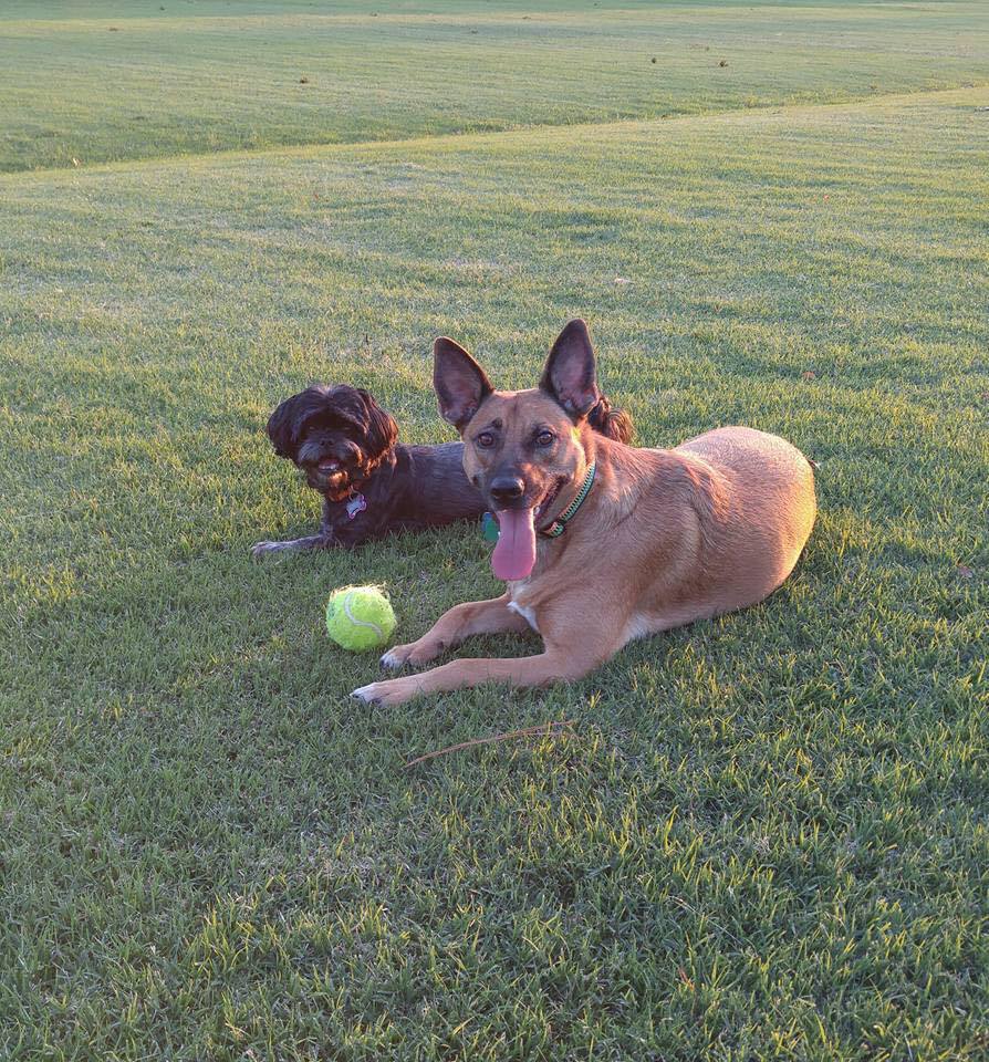 Lindsey Knight (lindsey_knight1) profile Padlet