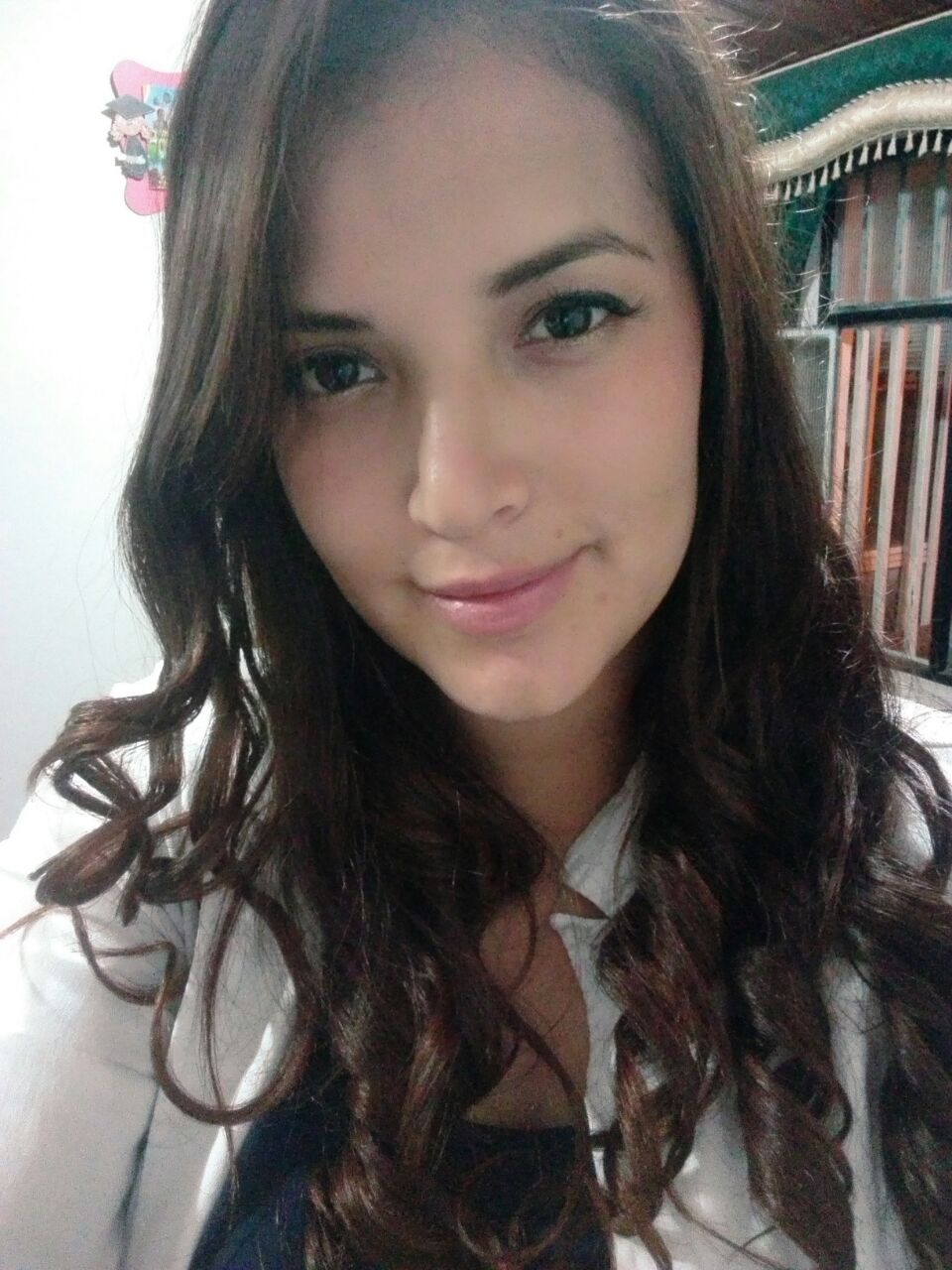 Lorena Plazas (lorenaplazas02) profile | Padlet