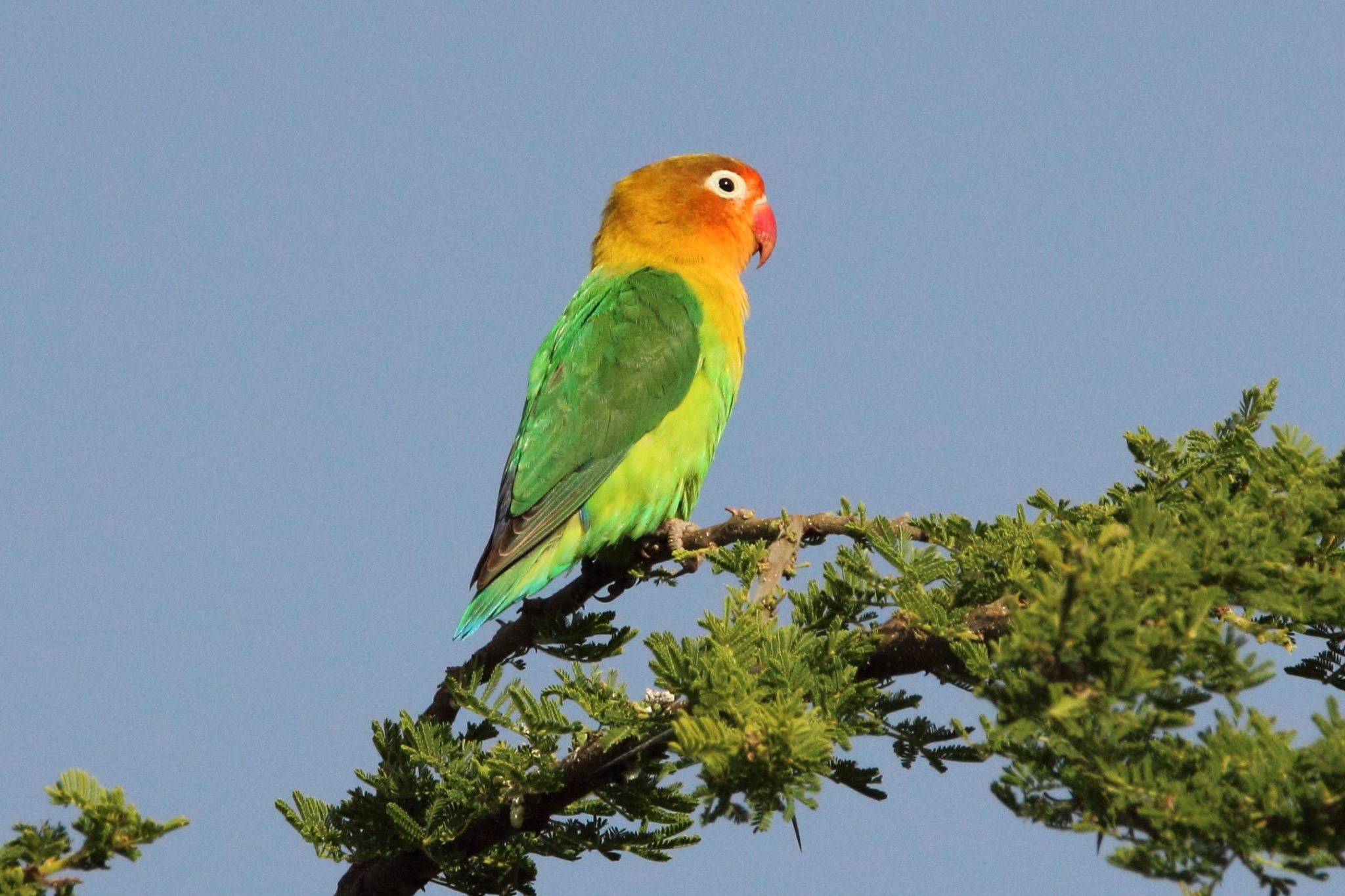 Tim Yates (timothy_yates) profile Padlet