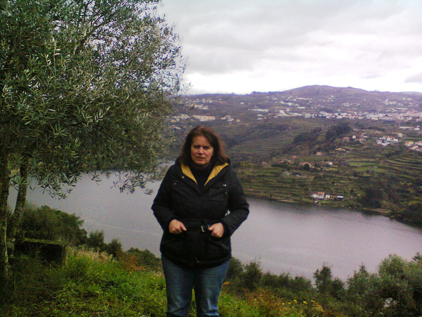 Isabel Silva (isabelsilva_aver) profile | Padlet