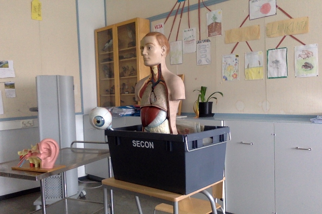 Kaisa Jauhiainen (kaisa_e_jauhiai) profile | Padlet