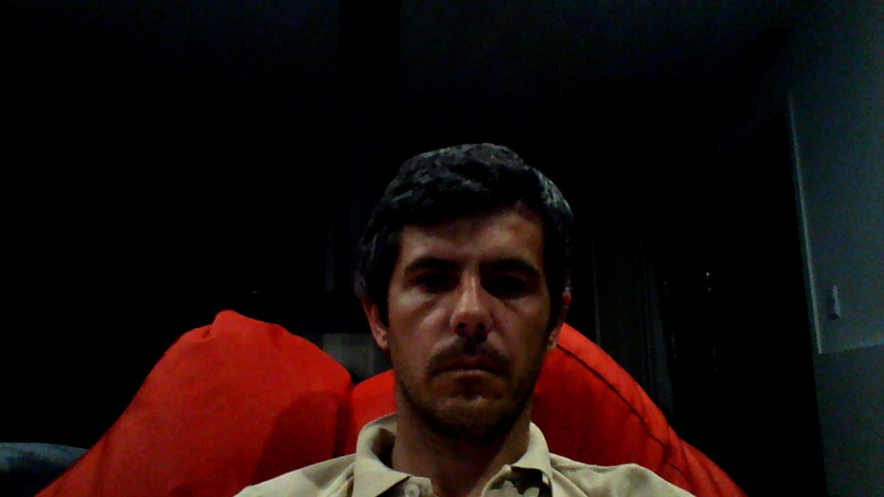Pedro Arantes (pfparantes) profile | Padlet